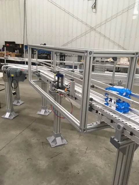 Progressive Handling cartonless conveyor packaging system at Nice Pak