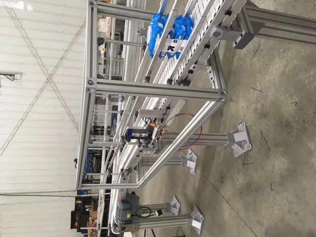 Progressive Handling cartonless conveyor packaging system at Nice Pak