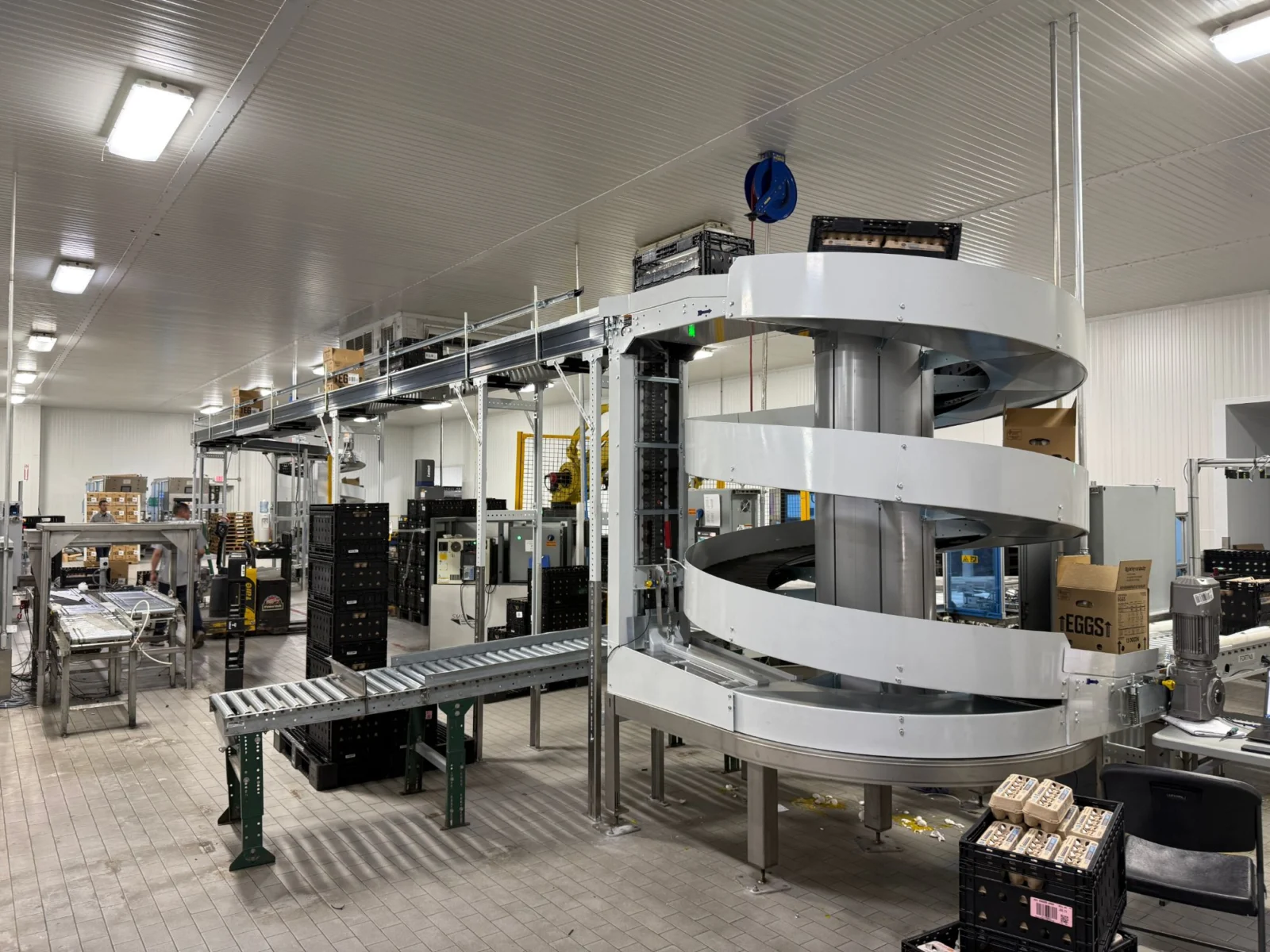 Spiral conveyor carrying egg cases up to an overhead conveyor line in an egg processing plant